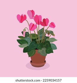 cyclamen in a pot vector clip art