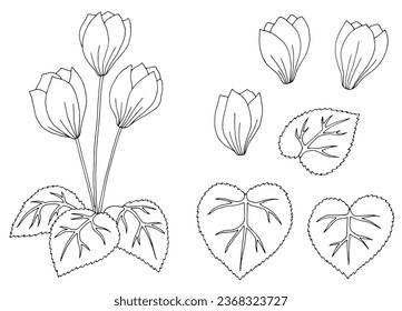 Cyclamens flower graphic black white isolated sketch illustration vector