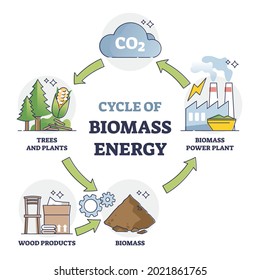 Cycle of biomass energy as direct combustion in power plant outline diagram. Educational labeled explanation with CO2 conversion to environmental resource vector illustration. Natural recycling method