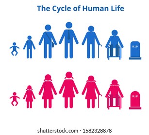 The Cycle of  Human Life Pictogram 