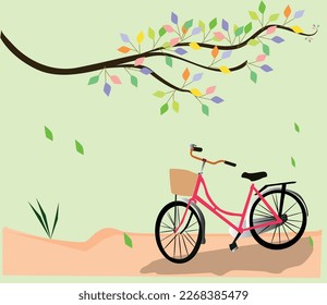 cycle in the park , love the nature,  garden , 