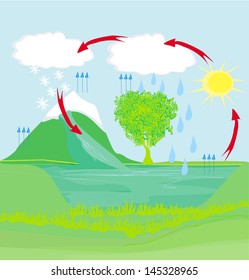cycle water in nature environment