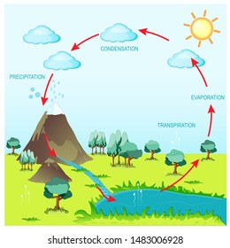 cycle water in nature environment. 