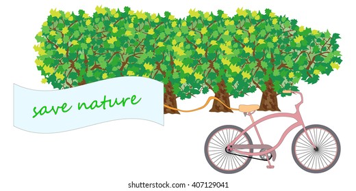 cycling in the forest