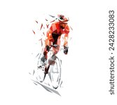 Cyclist, road cycling, isolated low poly vector illustration, geometric drawing from triangles