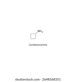 Estrutura esquelética de ciclobutanamina. ilustração esquemática do composto de amina alifática. Diagrama simples, fórmula química.
