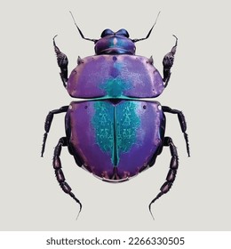 Cyclocephalini laporte violet beetle vector on white background