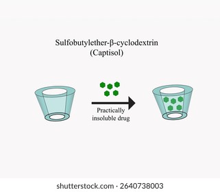 Cyclodextrin, the sulfobutylether beta type which can be used to solubilize practically insoluble drugs. It is also called Captisol