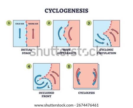 Cyclogenesis shows the formation of cyclones, highlighting cold and warm air fronts, wave patterns, and circulation. Outline diagram