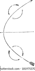 Cycloid Northern Hemisphere, From the Dictionary of Word and Things, 1888.