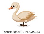 Cygnet bird isolated flat vector illustration