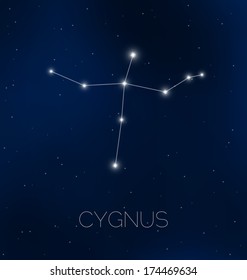 Cygnus constellation in night sky