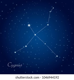 Cygnus constellation at starry night sky