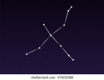 cygnus constellation vector