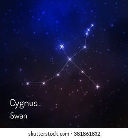 Cygnus (swan) constellation in the night starry sky. Vector illustration