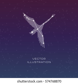 Cygnus (swan) Constellation Vector Sign With Animal Silhouette