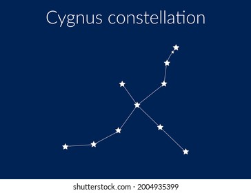 Cygnus zodiac constellation sign with stars on blue background of cosmic sky. Vector illustration