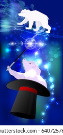 CYLINDER FOCUS HATS. CONSTELLATION OF THE BEAR AND SMALL BEAR. CONSTELLATIONS AND STARS. THE STARRY SKY. FOCUS WITH MAGIC STYLE. MAGIC AND MIRACLE. Vertical orientation of the sheet