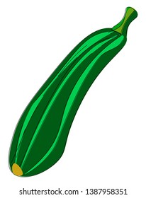 A cylinder  green squash slightly curved and extended on one end with a small yellow sphere with a stout and short stalk  vector  color drawing or illustration