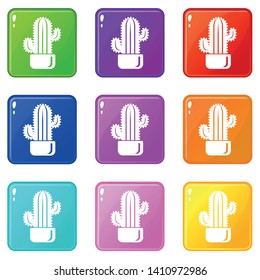 Cylindrical cactus icons set 9 color collection isolated on white for any design