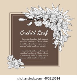 Cymbidium Orchids card vector on brown background.Cymbidium Orchids card by hand drawing.