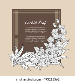 Cymbidium Orchids card vector on brown background.Cymbidium Orchids card by hand drawing.