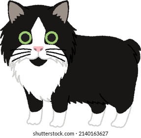 Cymric Is A Breed Of Domestic Cat. Some Cat Registries Consider The Cymric Simply A Semi-long-haired Variety Of The Manx Breed.