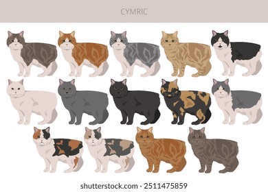 Cymric Cat clipart. All coat colors set.  All cat breeds characteristics infographic. Vector illustration