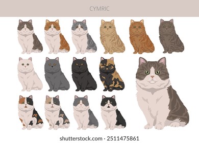 Cymric Cat clipart. All coat colors set.  All cat breeds characteristics infographic. Vector illustration