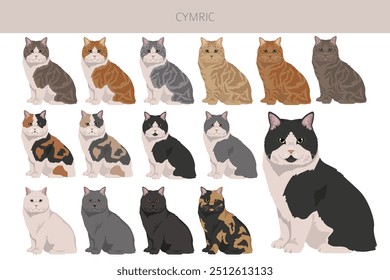 Cymric Cat clipart. All coat colors set.  All cat breeds characteristics infographic. Vector illustration