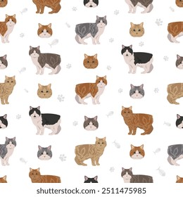 Cymric Cat seamless pattern. All coat colors set.  All cat breeds characteristics infographic. Vector illustration