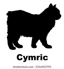 Cymric cat silhouette. Cat breeds vector. Pet. Animal