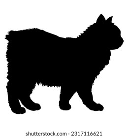 Cymric cat silhouette cat breeds vector pet