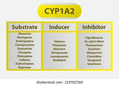 149 Cytochrome p450 Images, Stock Photos & Vectors | Shutterstock