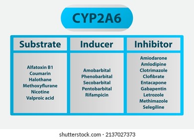 149 Cytochrome p450 Images, Stock Photos & Vectors | Shutterstock