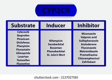 149 Cytochrome p450 Images, Stock Photos & Vectors | Shutterstock