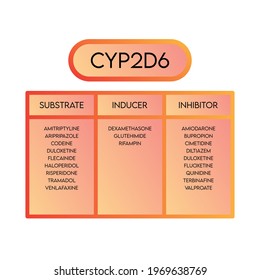 CYP2D6 Cytochrome P450 enzyme substrates, inducers and inhibitor drug examples for pharmacology, biochemistry svg