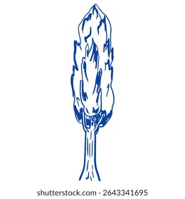 Ciprés en estilo dibujado a mano. Bosquejo del árbol. Diseño de Vector