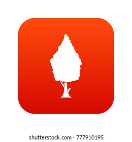 Cypress icon digital red for any design isolated on white vector illustration