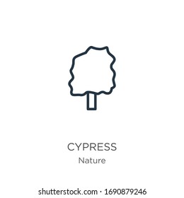 Cypress icon. Thin linear cypress outline icon isolated on white background from nature collection. Line vector sign, symbol for web and mobile
