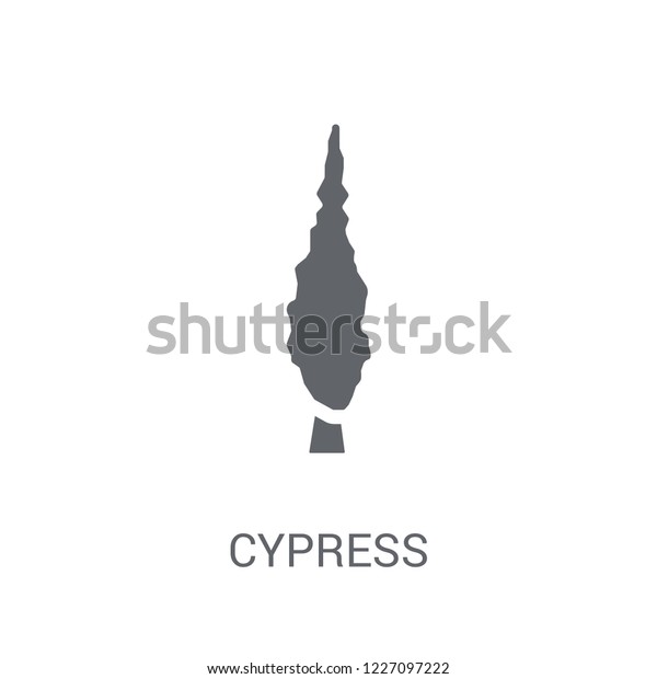 Cypress icon. Trendy Cypress logo concept on white\
background from Nature collection. Suitable for use on web apps,\
mobile apps and print\
media.