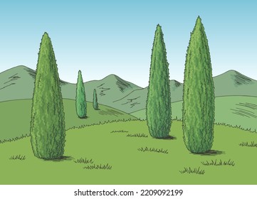 Cypress landscape graphic cypress color sketch illustration vector