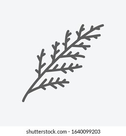 Cypress leaf icon line symbol. Isolated vector illustration of icon sign concept for your web site mobile app logo UI design.