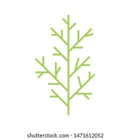 Cypress Leaf Icon Vector Template