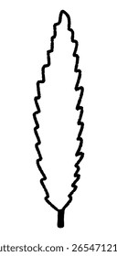 Desenhado à mão contorno de cipreste. Árvores cipreste mediterrâneo isoladas em um fundo, ilustração Vetor plano. Arquivos recortados Eps para Cricut