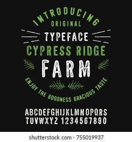 Cypress Ridge Farm. Hand Made handwritten Alphabet. Vintage Retro Decorative Type.Hand Drawn Font. Vector illustration.