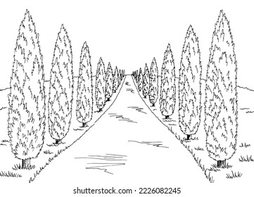 Cypress road graphic black white landscape sketch illustration vector svg