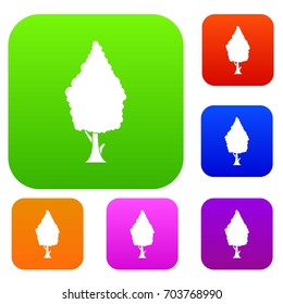 Cypress set icon in different colors isolated vector illustration. Premium collection