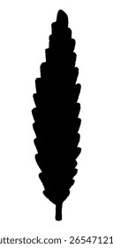 Cypress silhouette. Mediterranean Cypress trees silhouette isolated on a background, Flat Vector illustration. Eps Cut Files for Cricut	