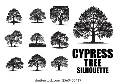 Cypress, Silhouette, Tree, Nature, Landscape, Sunset, Horizon, Outdoors, Sky, Forest, Twilight, Dusk, Calm, Scenery, Branches, Shadows, Iconic, 